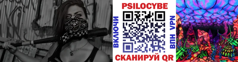 Галлюциногенные грибы Psilocybe закладка Медногорск