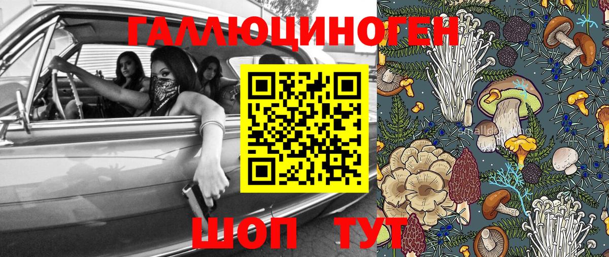 Псилоцибиновые грибы Magic Shrooms Медногорск