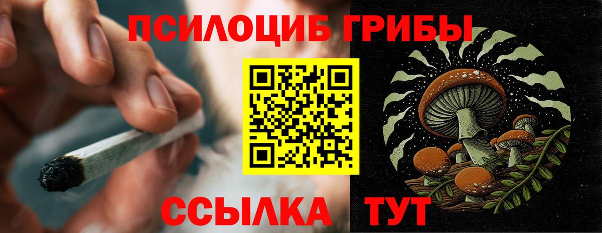Галлюциногенные грибы прущие грибы Медногорск