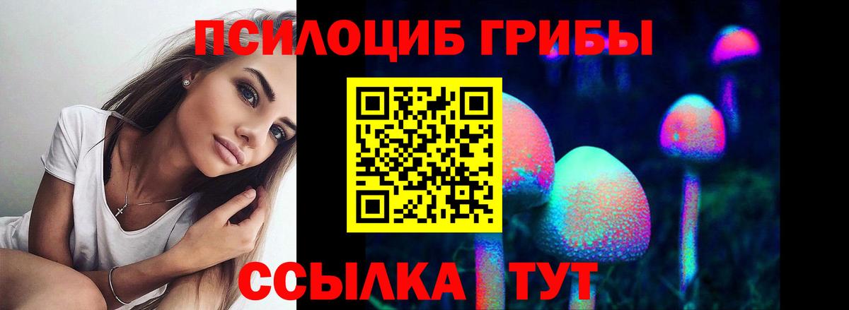 Галлюциногенные грибы ЛСД  Псилоцибиновые грибы мицелий  Медногорск  Вход с VPN 
